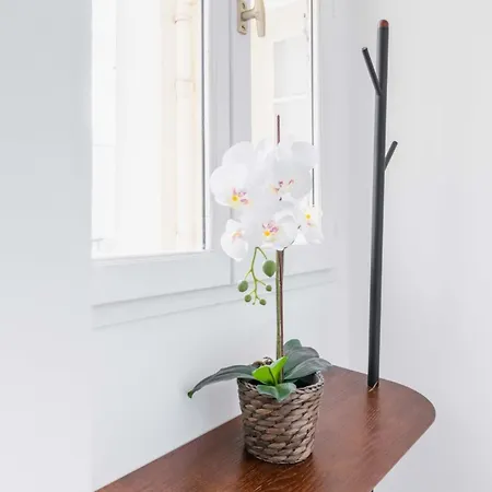 Fonctionnel Et Confortable - 10 - 2p *