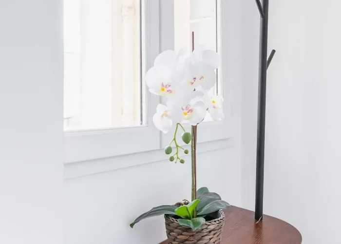 Fonctionnel Et Confortable - 10 - 2p *